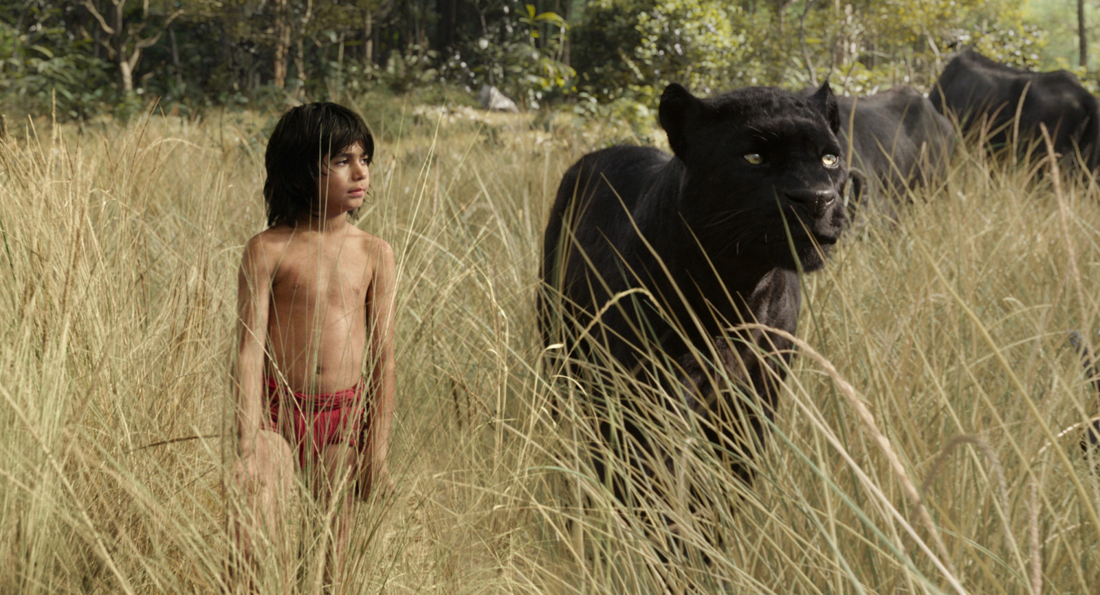 Le Livre de la jungle