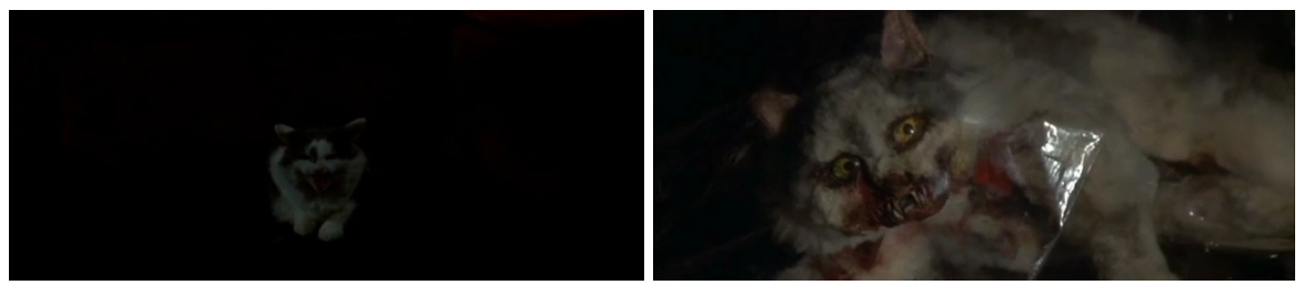 d.png