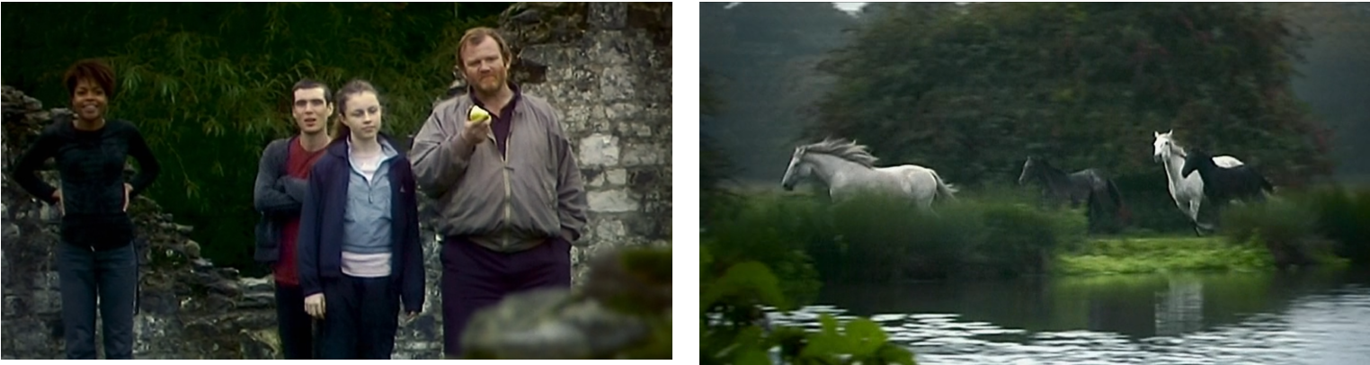 5 : Chevaux famille
