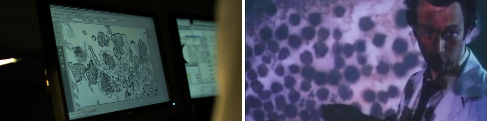 Photogrammes x2(17)