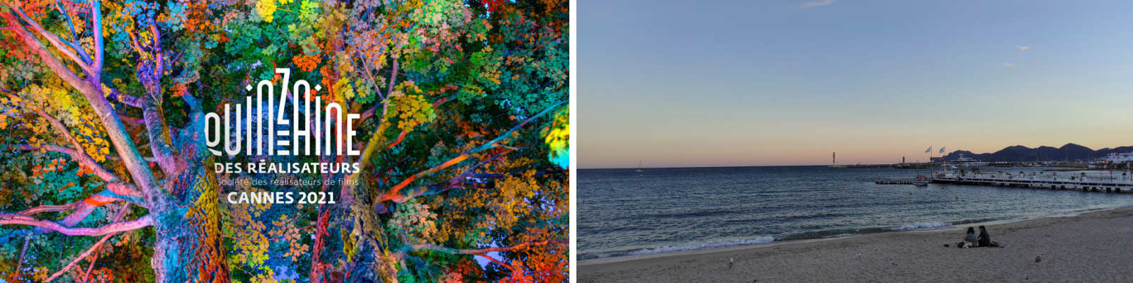 Copie de Photogrammes x2-1